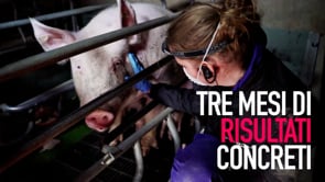Tutti i risultati concreti di questi primi tre mesi del 2019