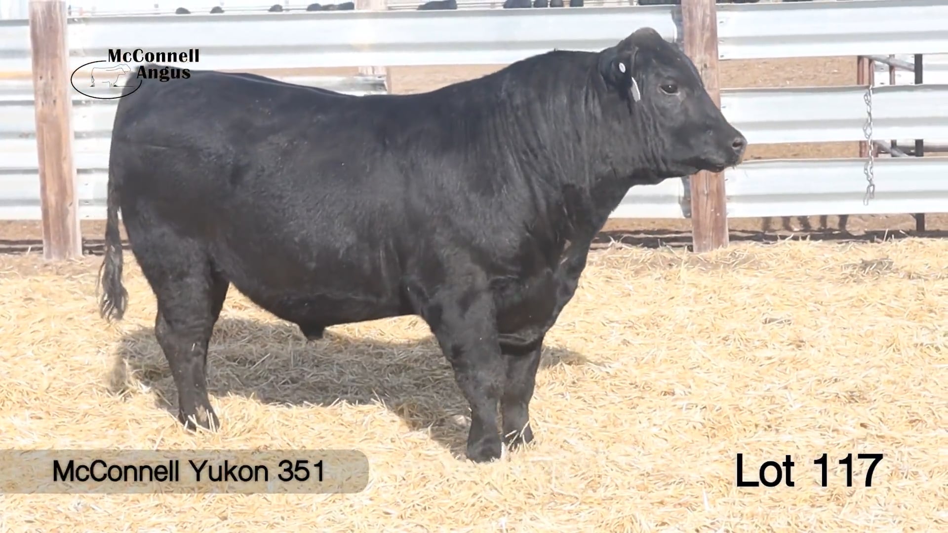 Lot 117 McConnell Yukon 351