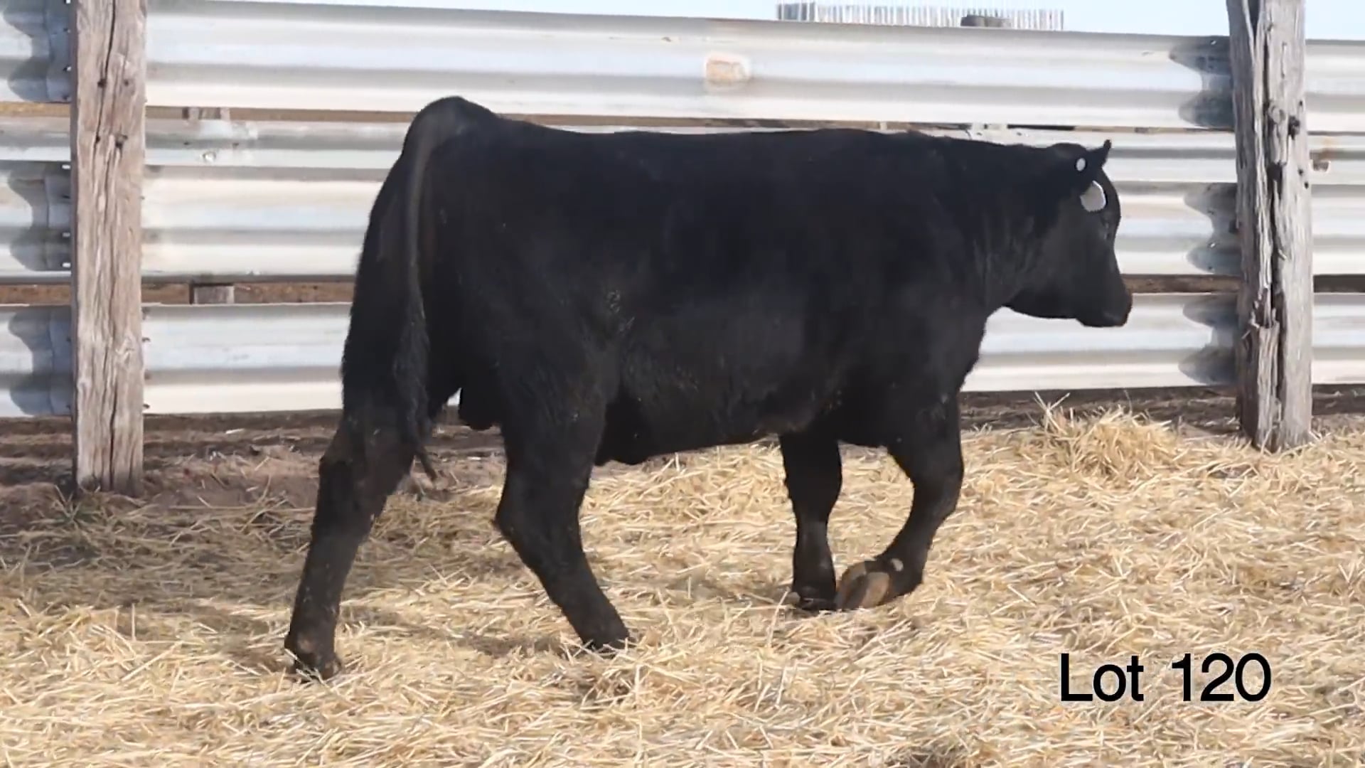 Lot 120 McConnell Yukon 3217M