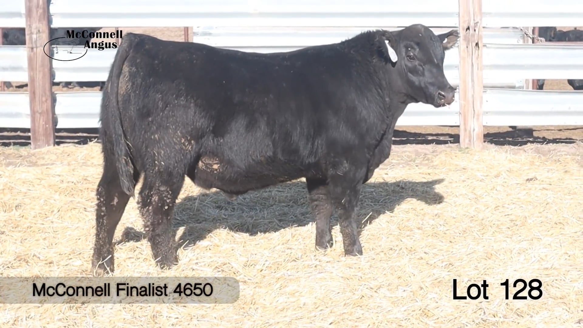 Lot 128 McConnell Finalist 4650