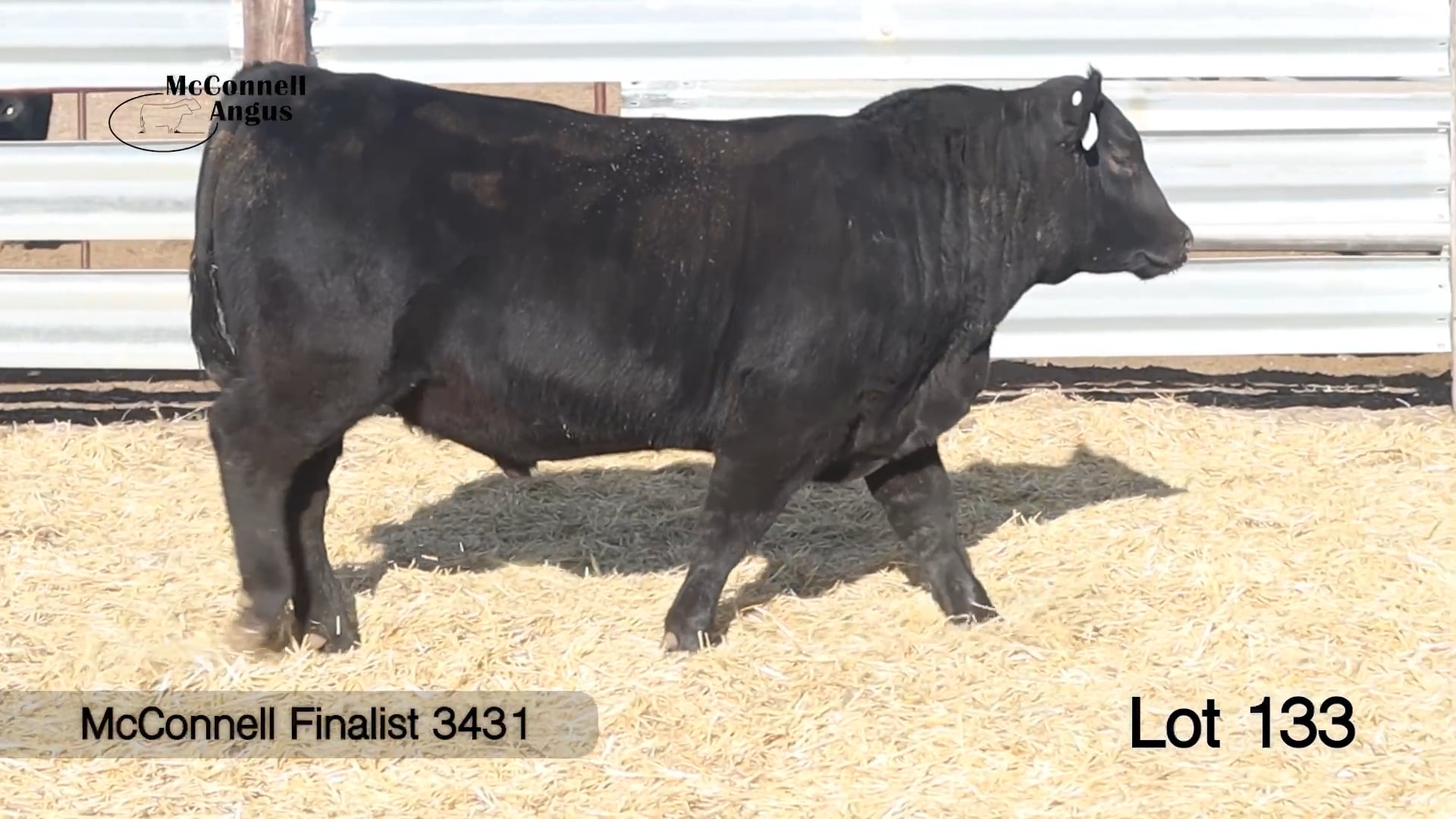 Lot 133 McConnell Finalist 3431