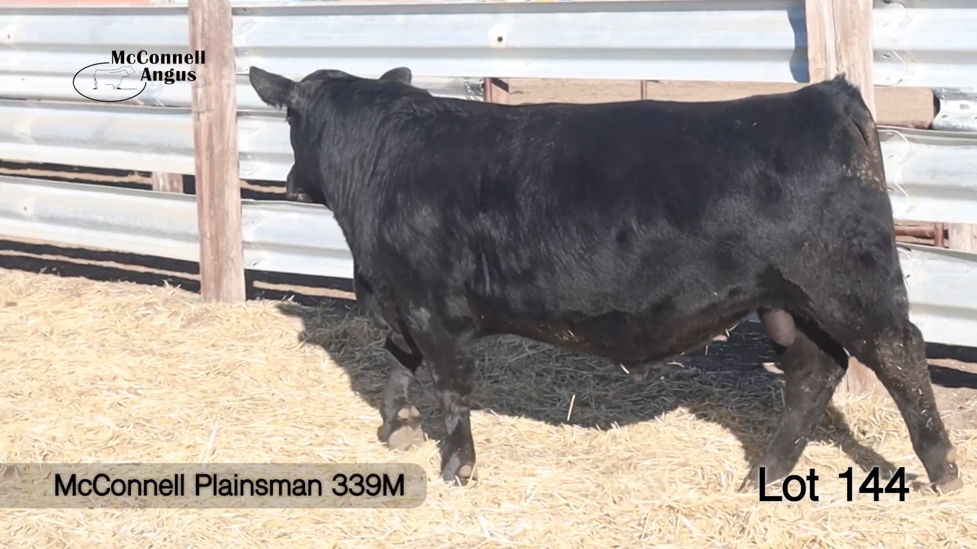 Lot 144 McConnell Plainsman 339M