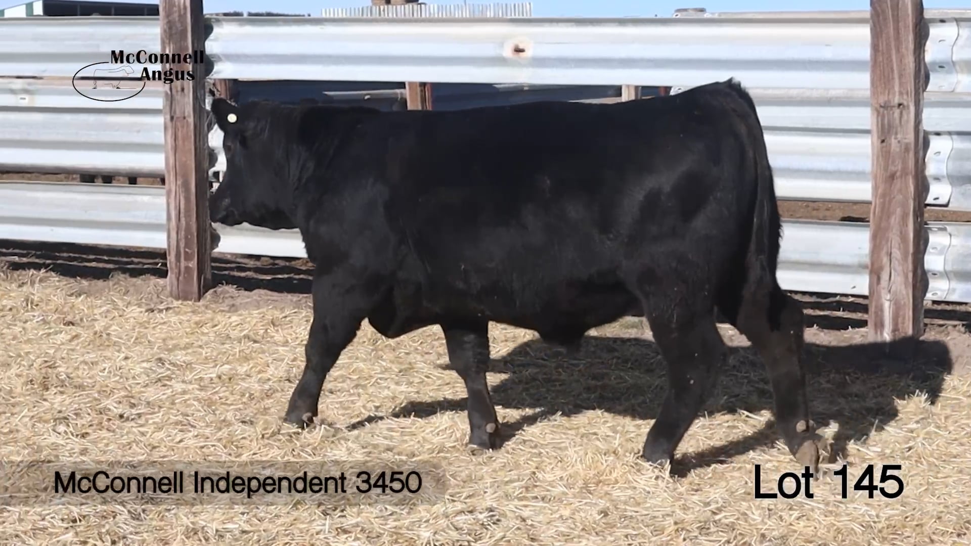 Lot 145 McConnell Independent 3450