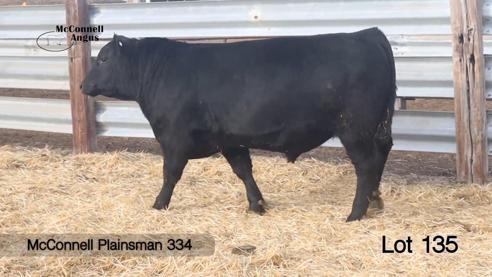 Lot 135 McConnell Plainsman 334