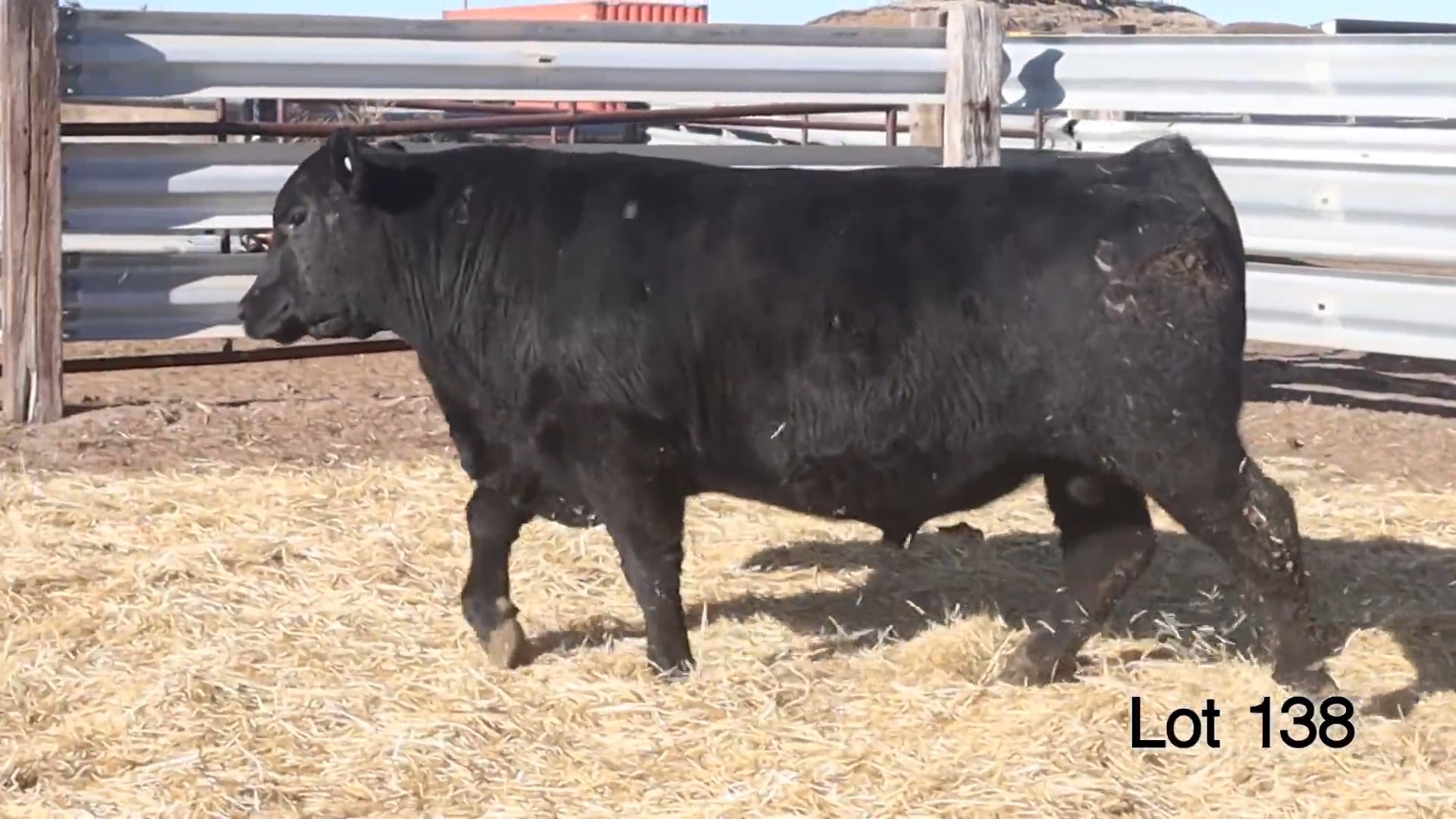 Lot 138 McConnell Plainsman 3513