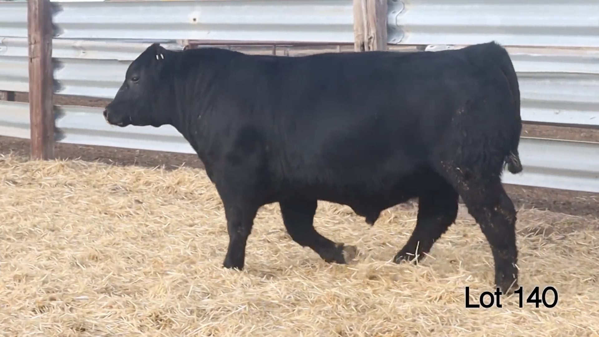 Lot 140 McConnell Plainsman 3220