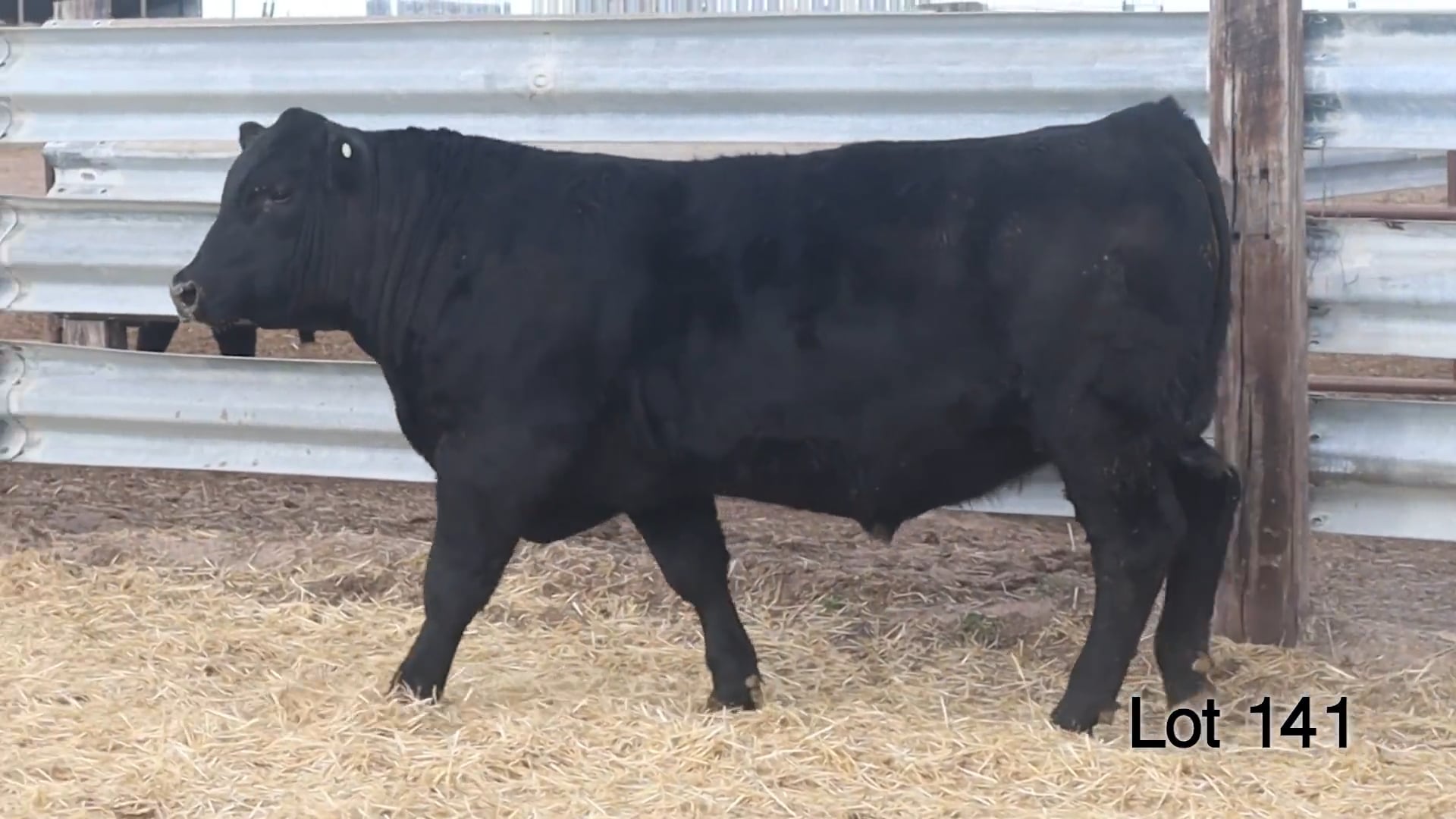 Lot 141 McConnell Plainsman 357