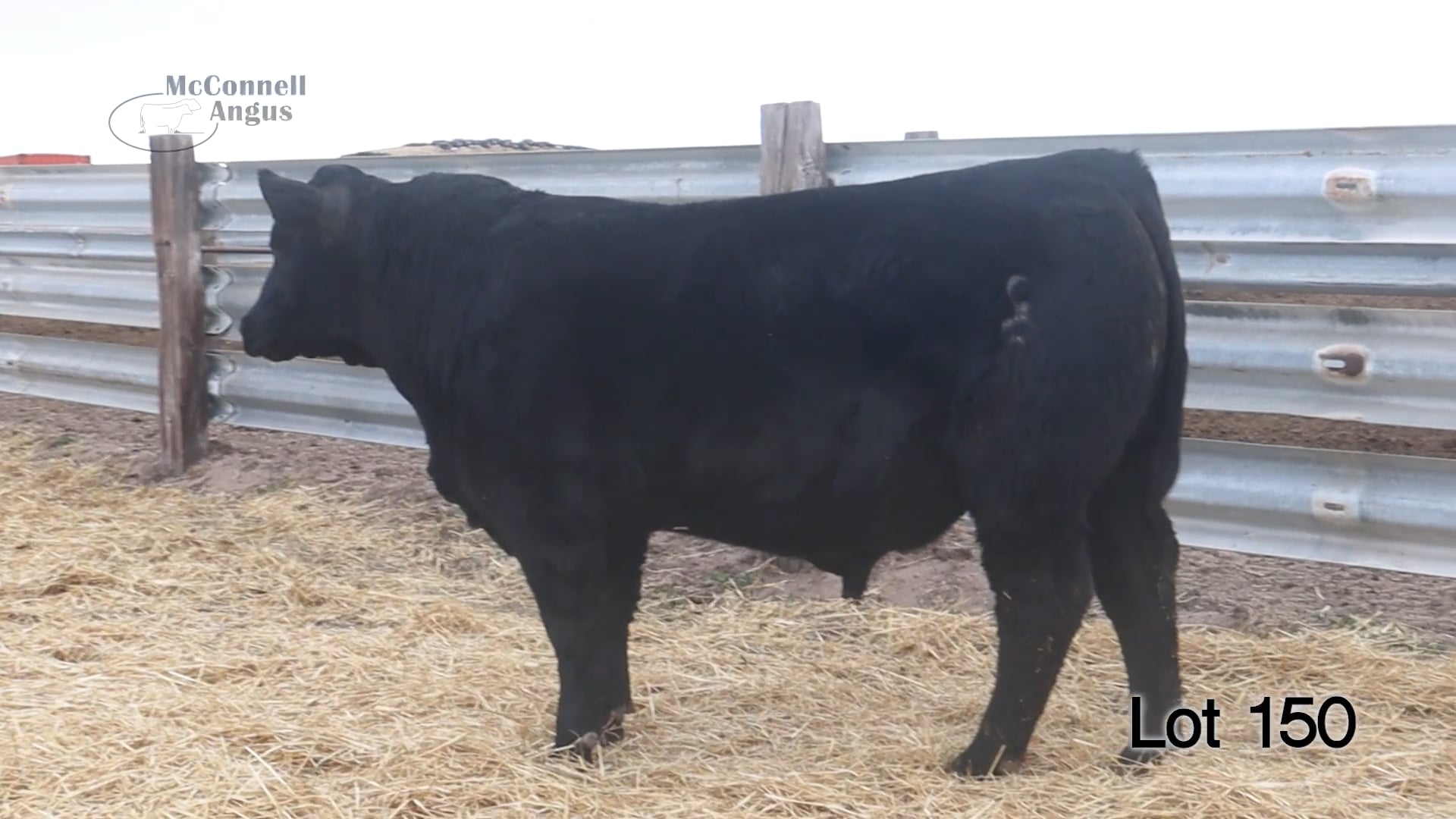 Lot 150 McConnell John Wayne 3062