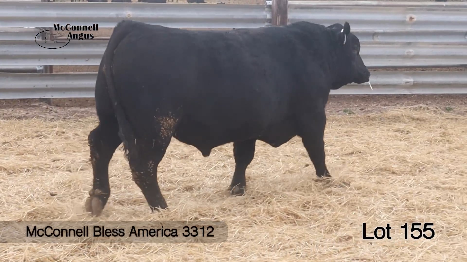 Lot 155 McConnell Bless America 3312