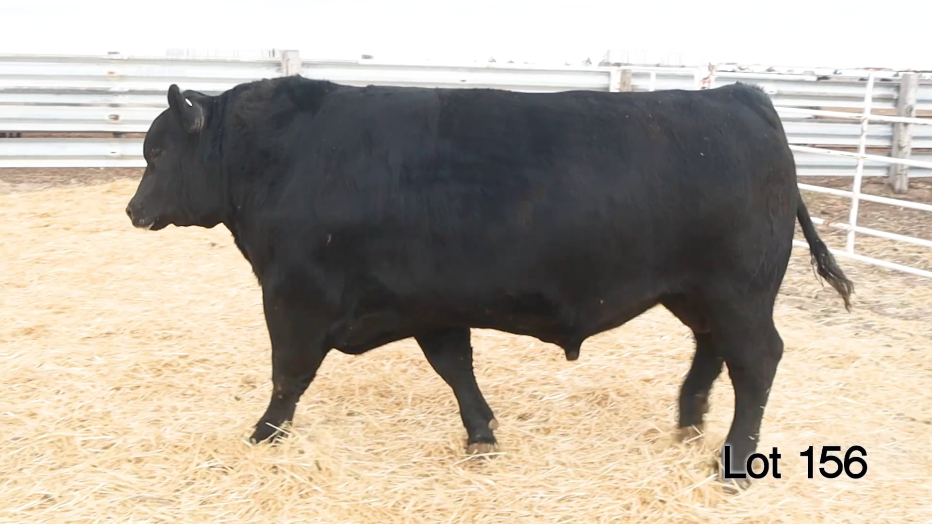 Lot 156 McConnell Rainmaster 3455