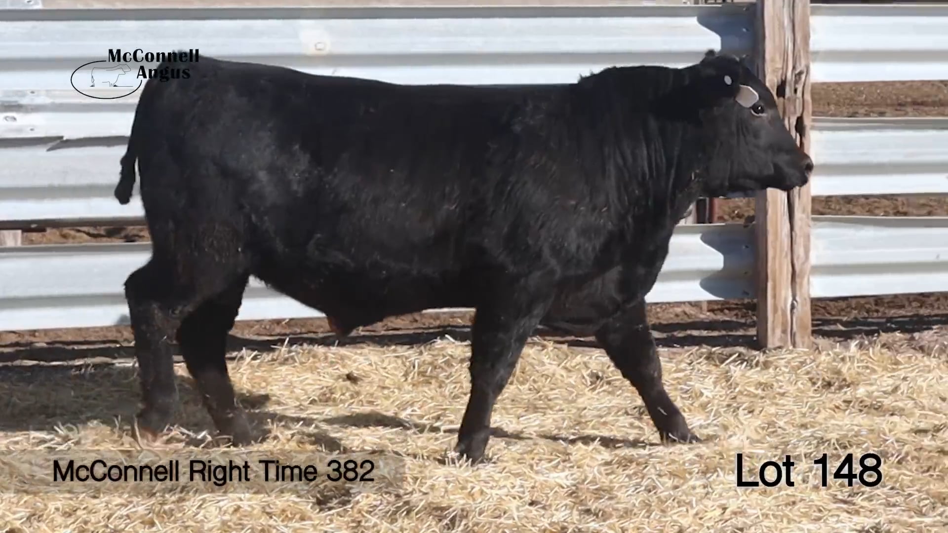 Lot 148 McConnell Right Time 382