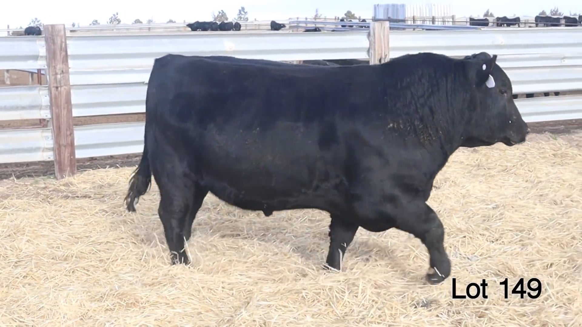 Lot 149 McConnell Resilient 3075