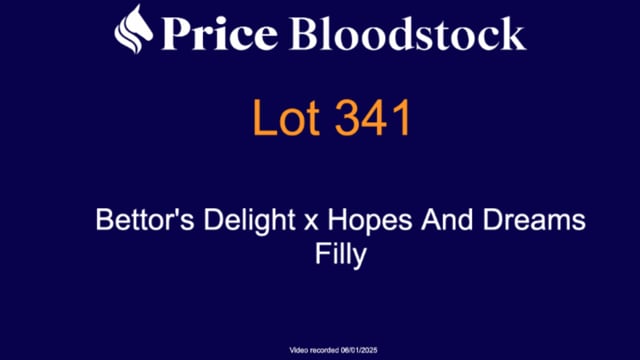 Lot 341