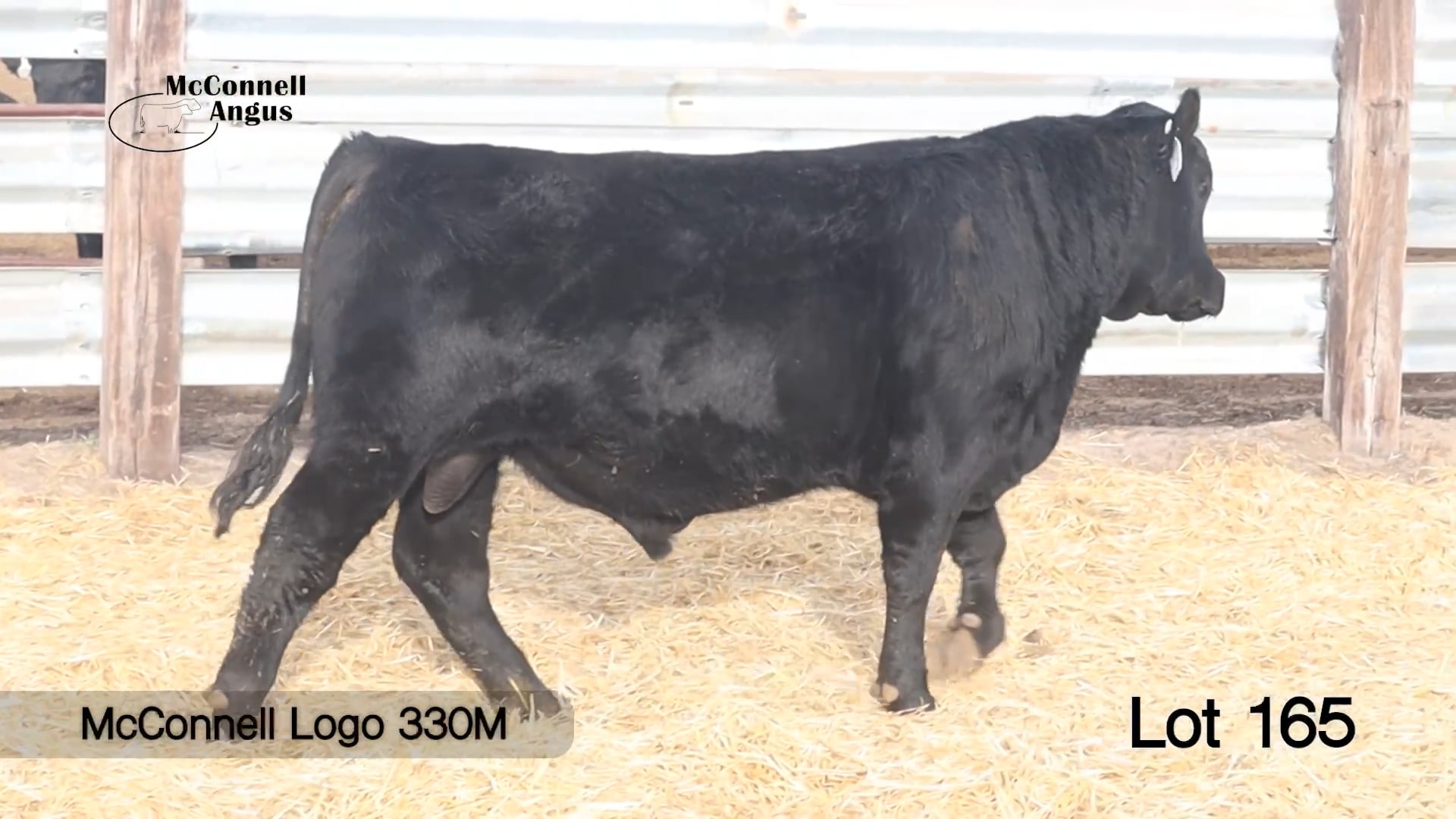 Lot 165 McConnell Logo 330M