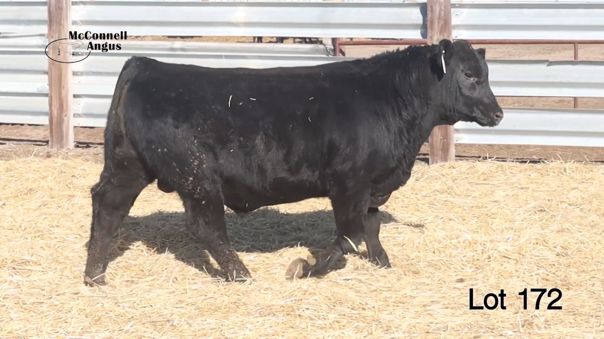 Lot 172 McConnell Fireball 4546