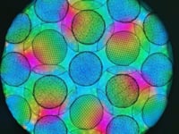 Kaleidoscopic Comfort 2