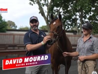 David Mourad talks about the Snitzel x All That Jazz Filly