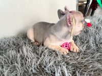 Watch me play!