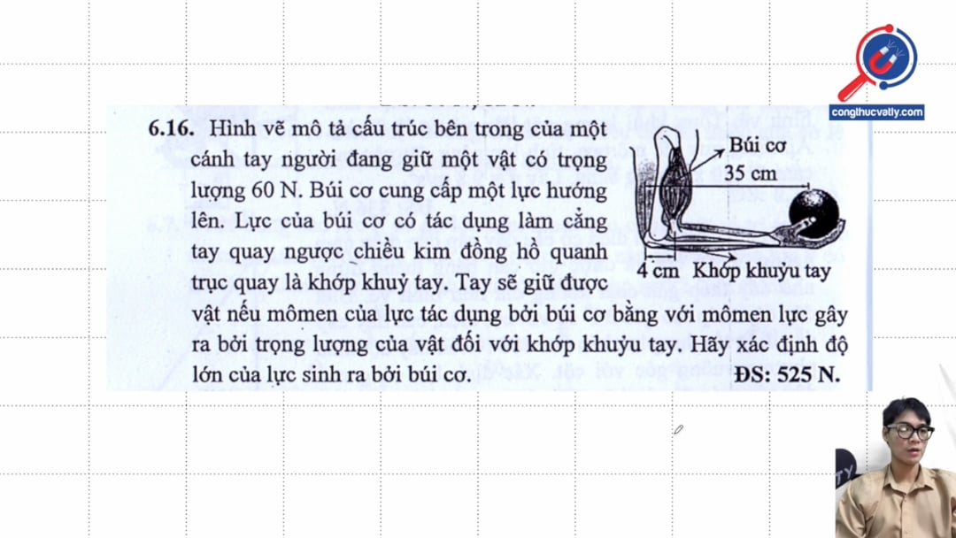 Hình vẽ mô tả cấu trúc bên trong của một cánh tay người đang giữ một vật có trọng lượng 60 N. Búi cơ cung cấp một lực hướng lên. Hãy xác định độ lớn của lực sinh ra bởi búi cơ.
