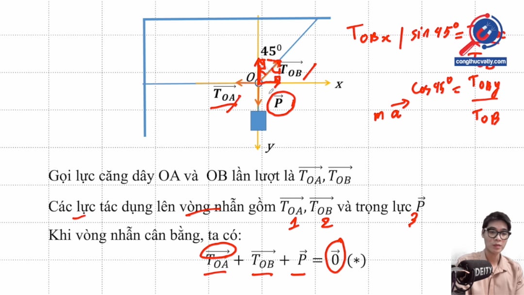 Một vật có trọng lượng 17 N được treo vào một vòng nhẫn O. Vòng nhẫn được giữ yên bằng hai dây OA và OB. Tìm lực căng dây OA và OB.