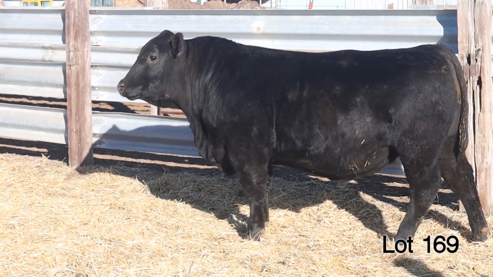 Lot 169 McConnell Reno 387