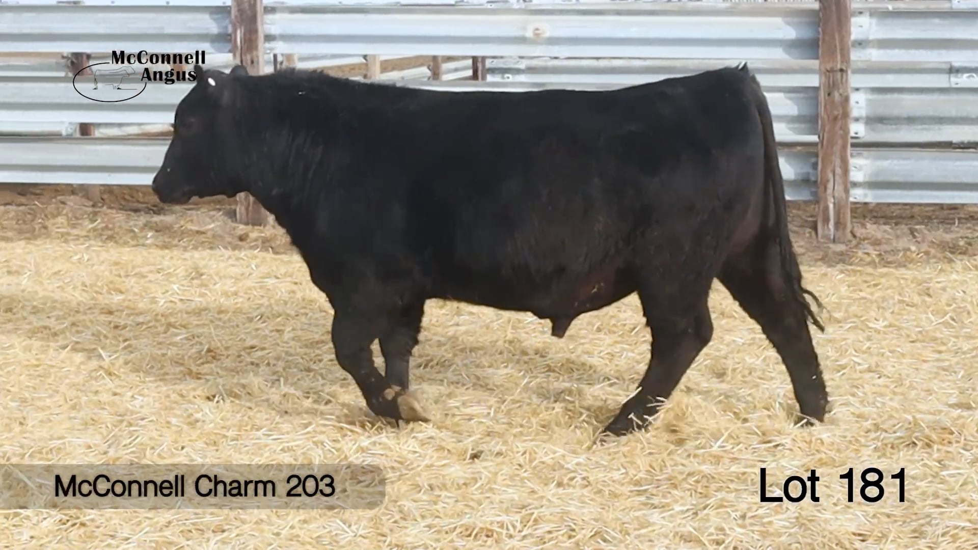 Lot 181 McConnell Charm 203