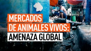 Mercados de animales vivos: Caldo de cultivo para las pandemias