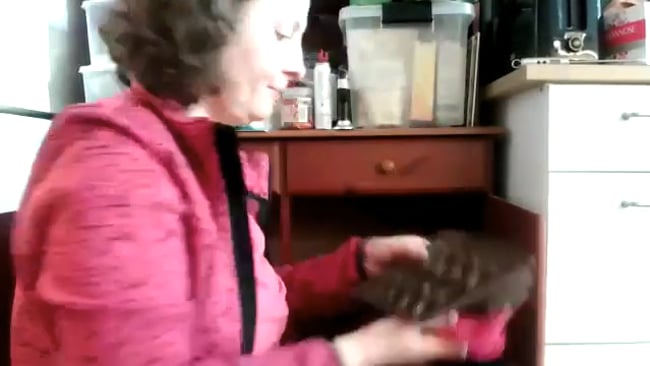 Co-Working 05 - Küchenschrank