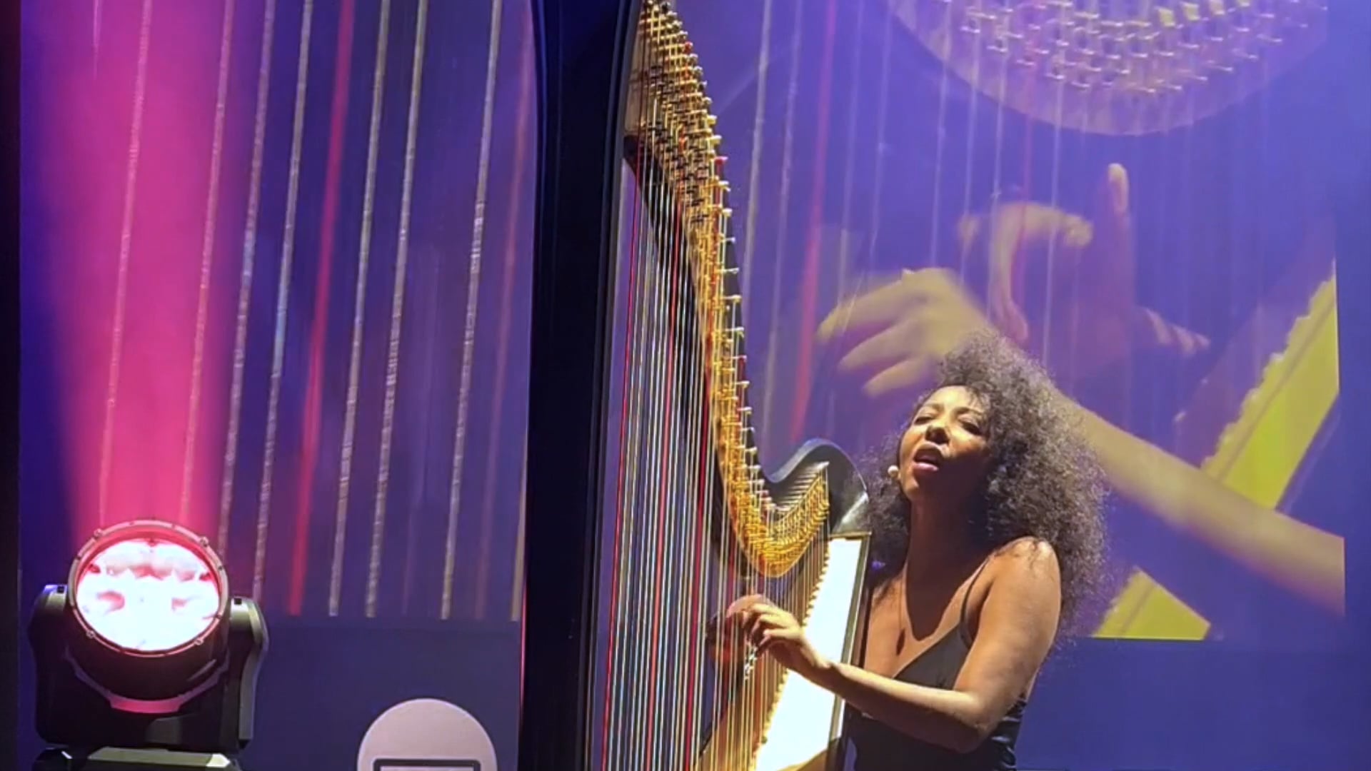 ZEM CONCERTS & FESTIVALS