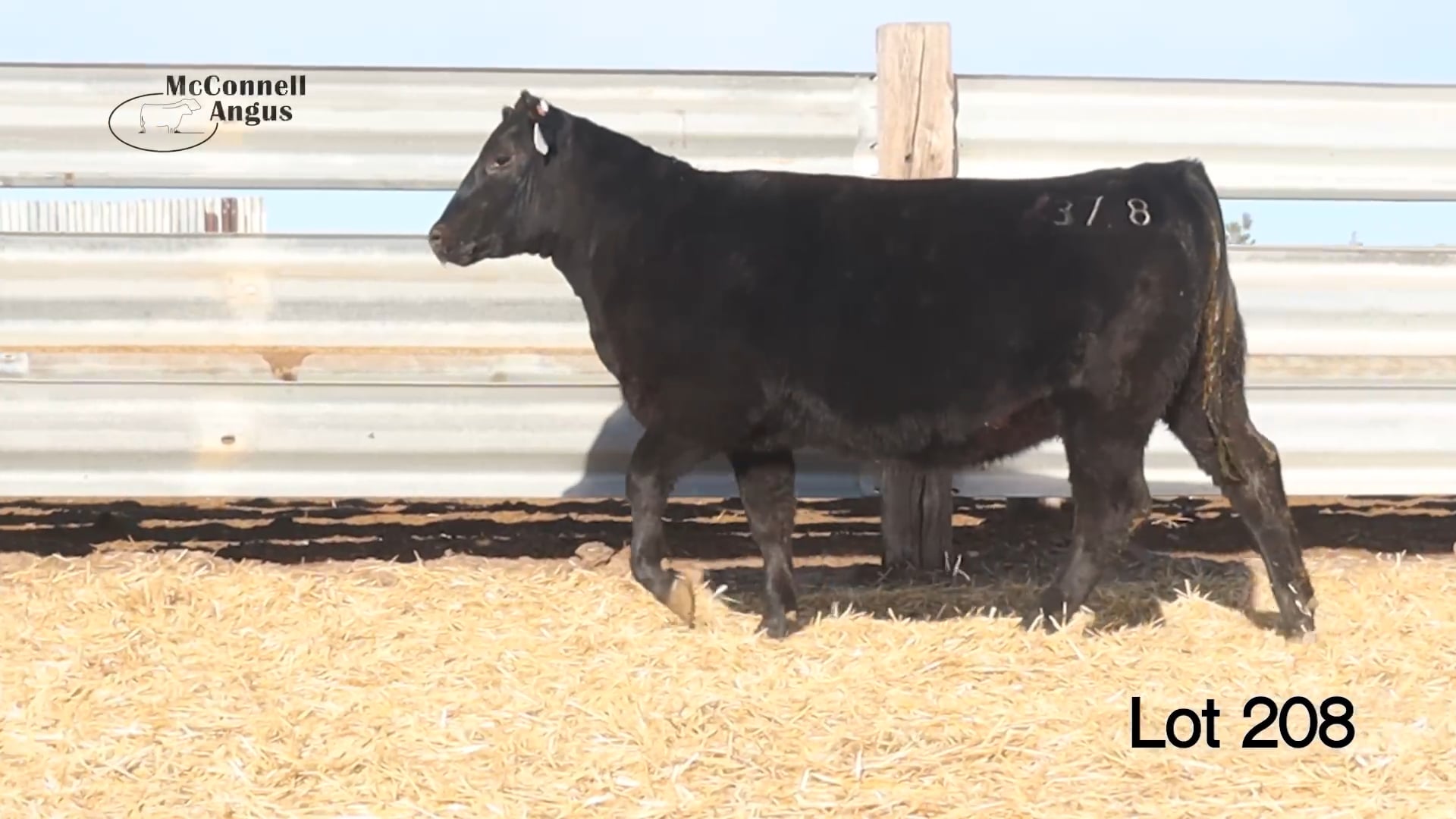 Lot 208 MA Pridella 378