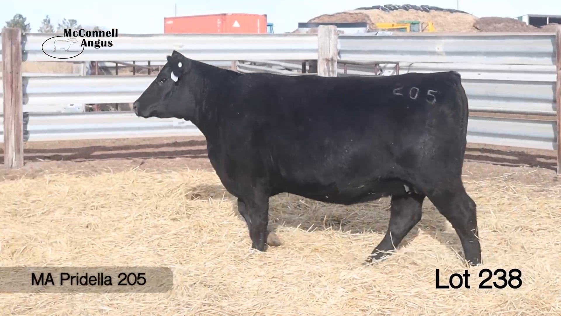 Lot 238 MA Pridella 205