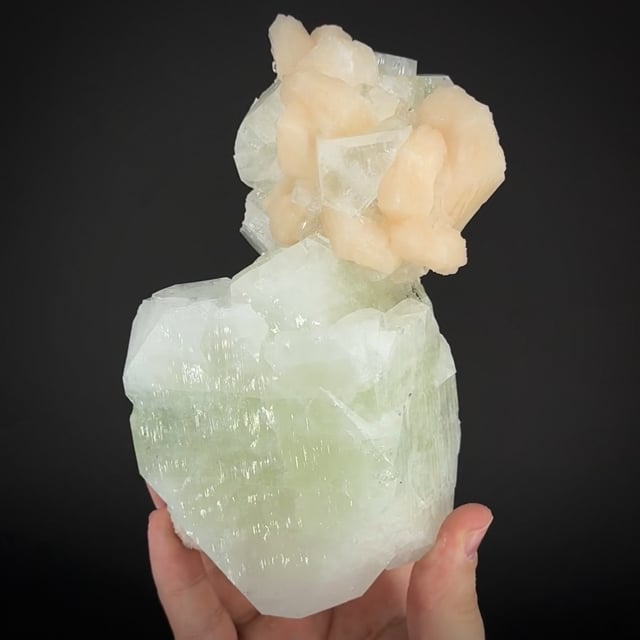 large Fluorapophyllite & Stilbite