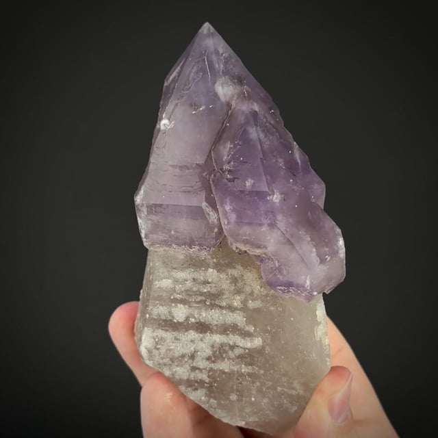 Amethyst scepters on Quartz (old classic)