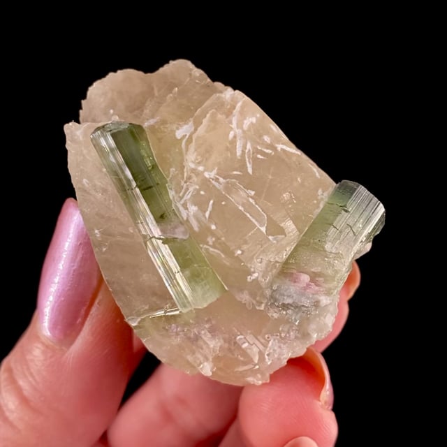 Tourmaline on Quartz (Mined: December 2023)