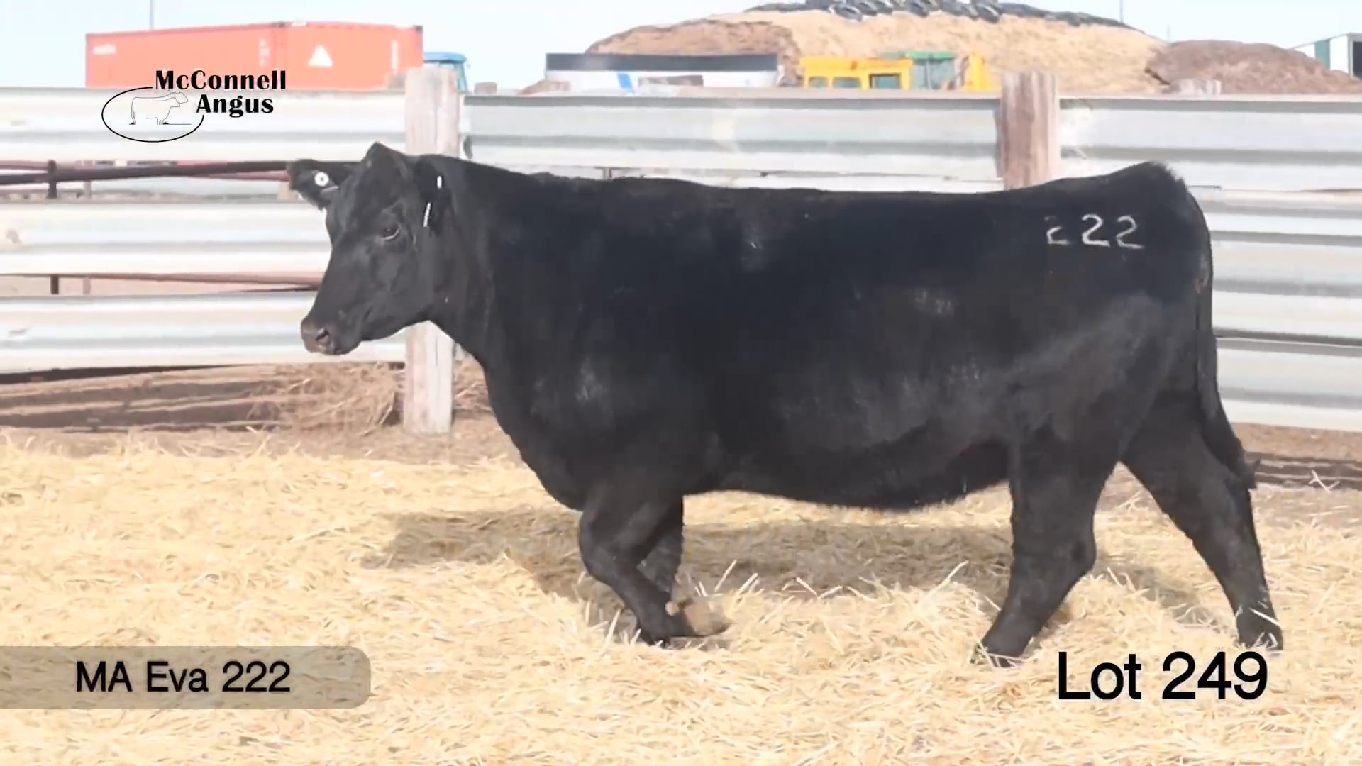 Lot 249 MA Eva 222