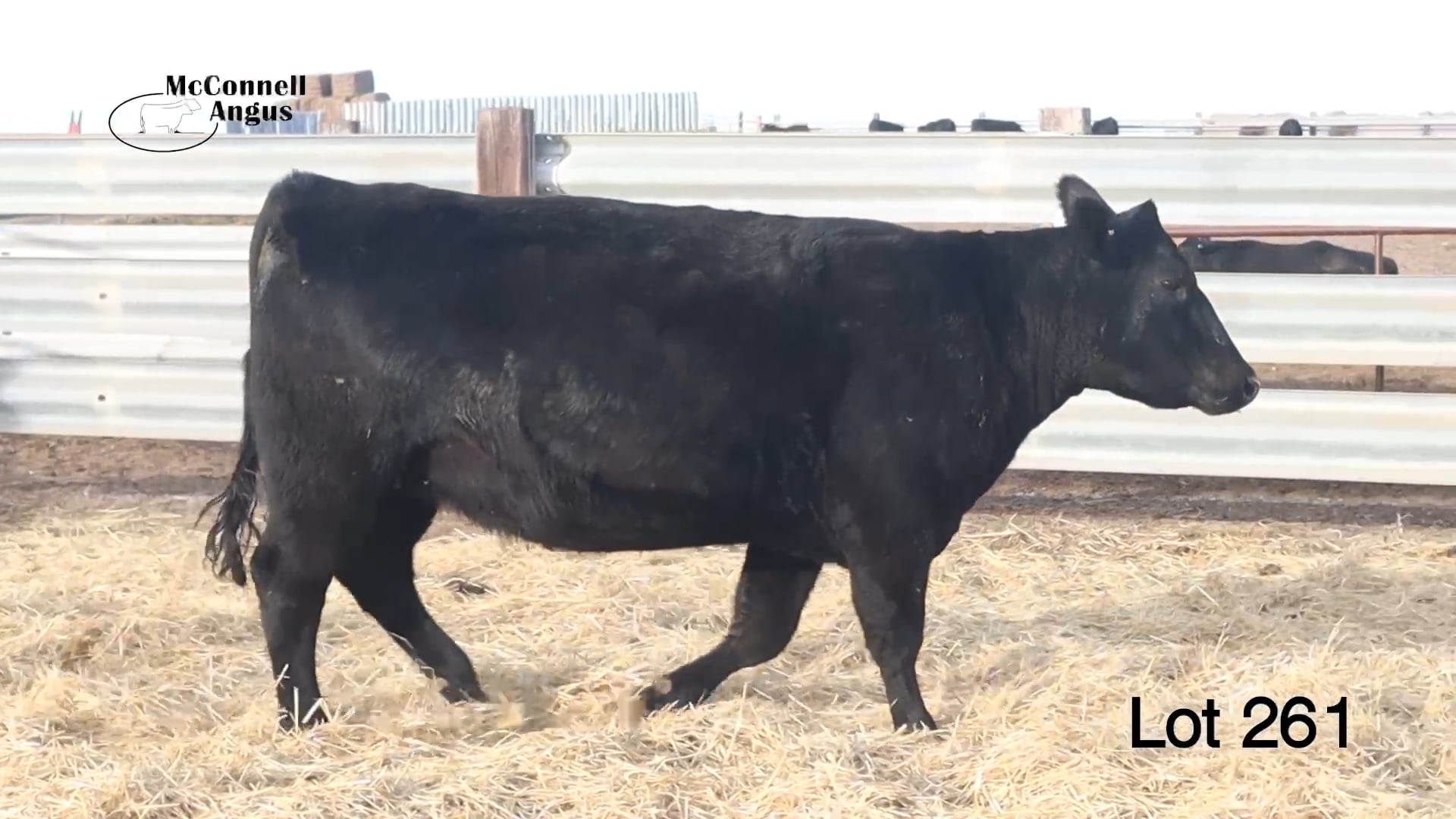 Lot 261 MA Pridella 114