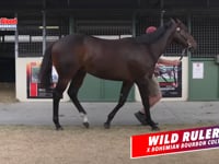 BBT Racing Manager David Mourad Talks About The Wild Ruler x Bohemian Bourbon C