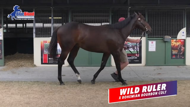 BBT Racing Manager David Mourad Talks About The Wild Ruler x Bohemian Bourbon C