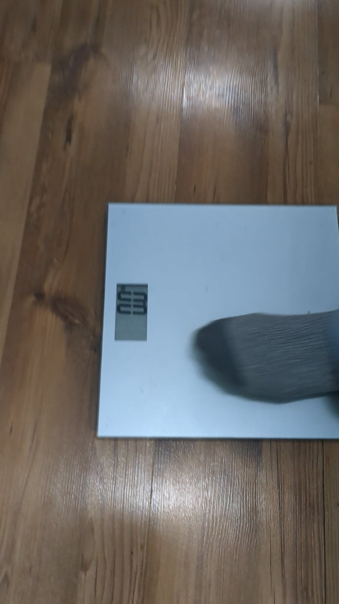 Watch seth suntz's Weight: 114.2 pounds