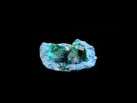 Museum Quality Dioptase on Plancheite - 319g