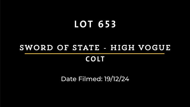 Lot 653