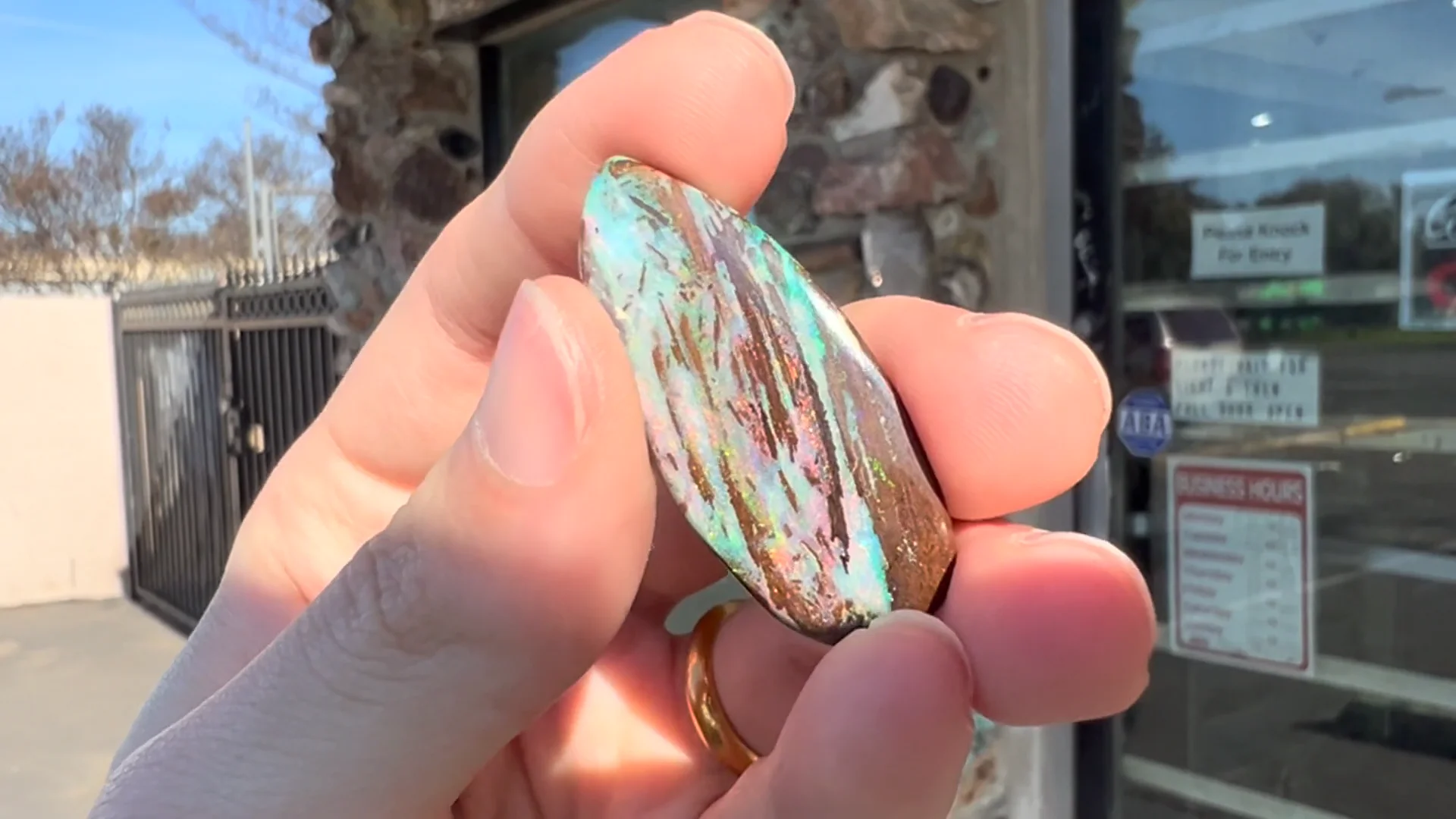 26.14ct Duck Creek Opalized Wood Stone | Burton's – Burton's Gems