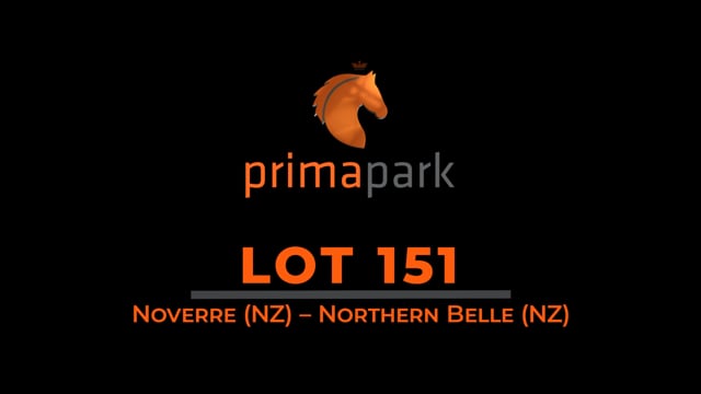 Lot 151