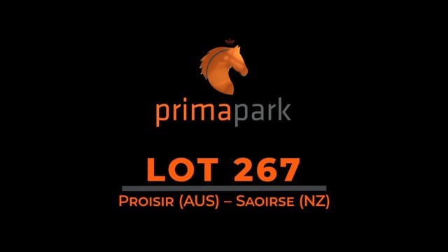 Lot 267