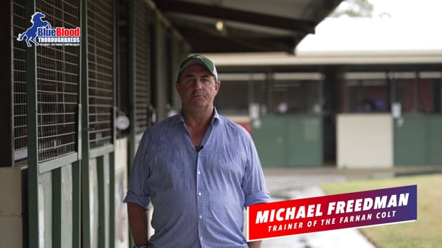 Michael Freedman Farnan X Equal Love C