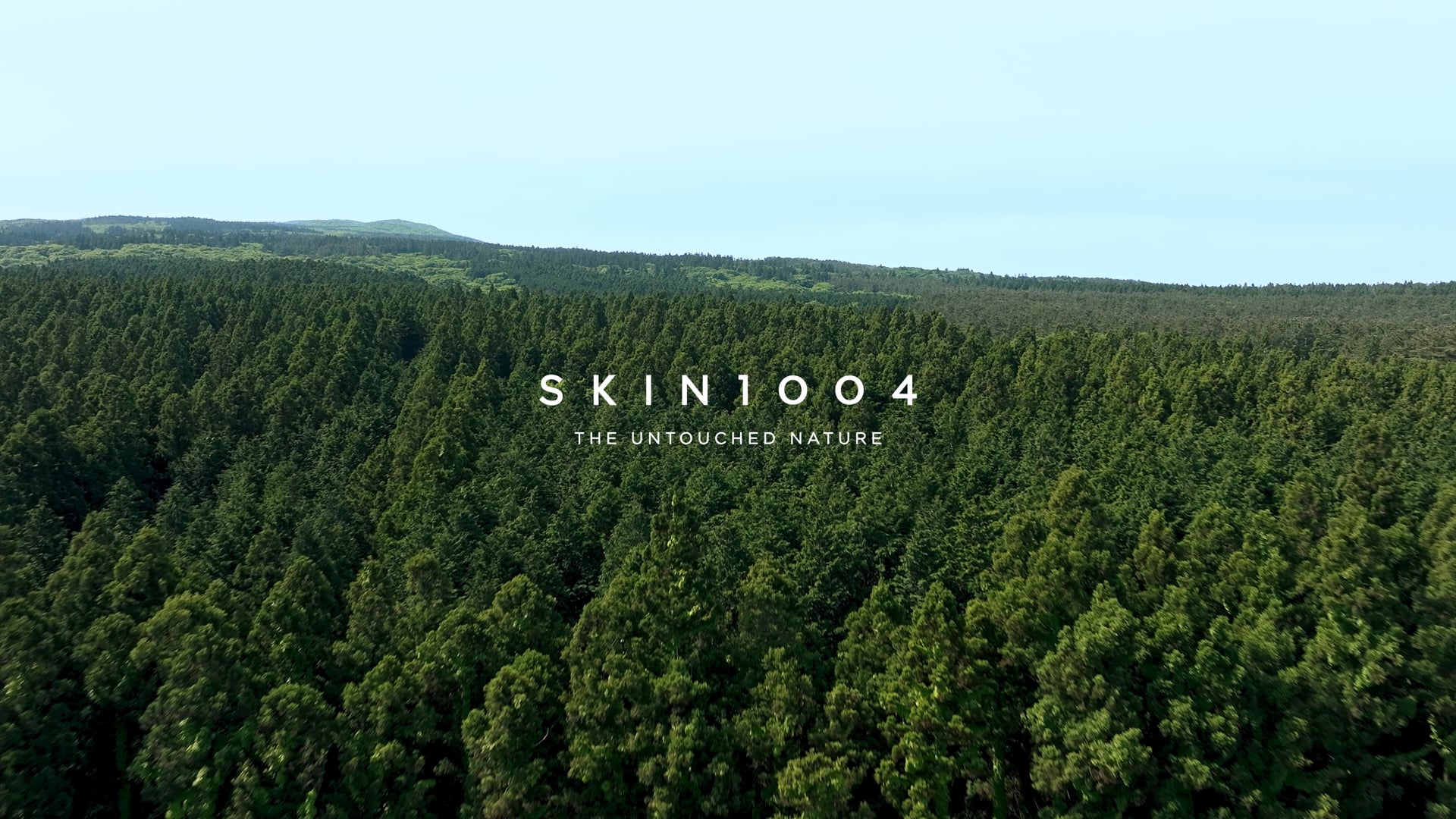 SKIN1004 MODEL HIGHLIGHT