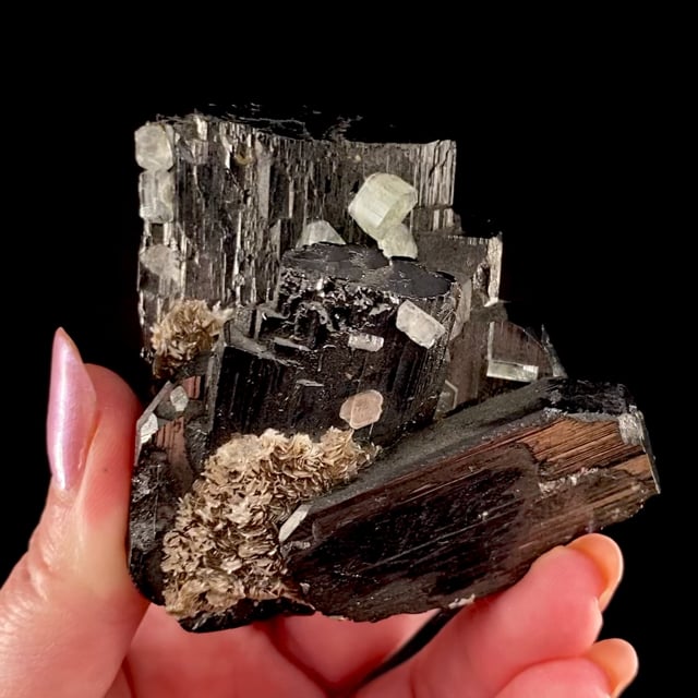 Ferberite with Fluorapatite