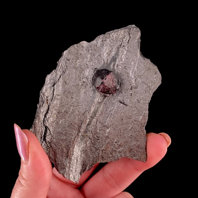 Pyrope-Almandine Garnet (gemmy crystal) on Graphite