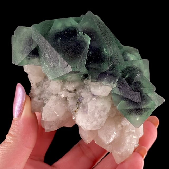 Fluorite (gemmy bi-colored crystals) on Quartz