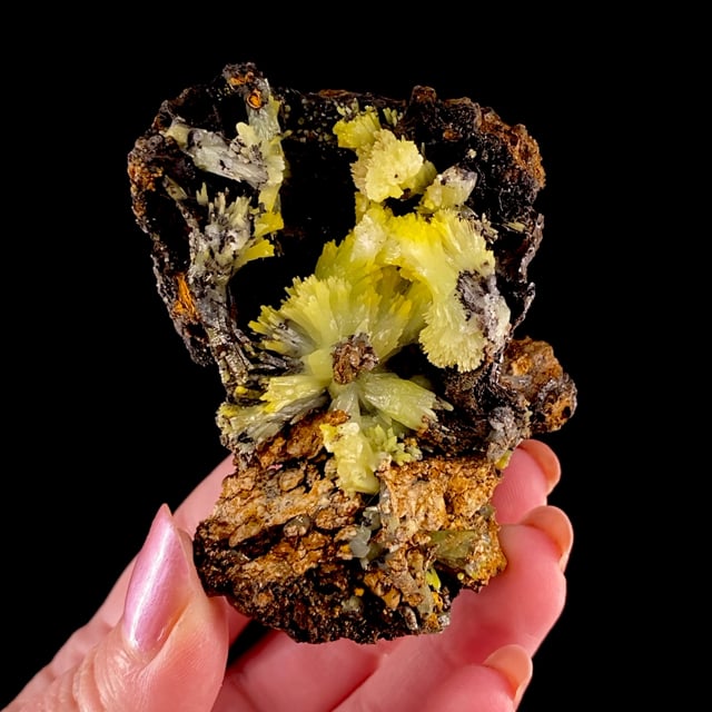 Pyromorphite (fine historic specimen)